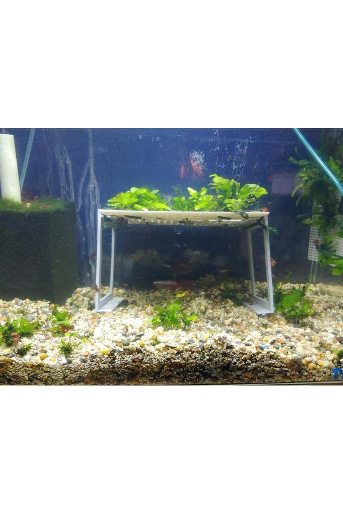 Premium Alkali Su Arıtma Sürahisi - Dijital Göstergeli 2.5 Litre Sağlıklı İçim