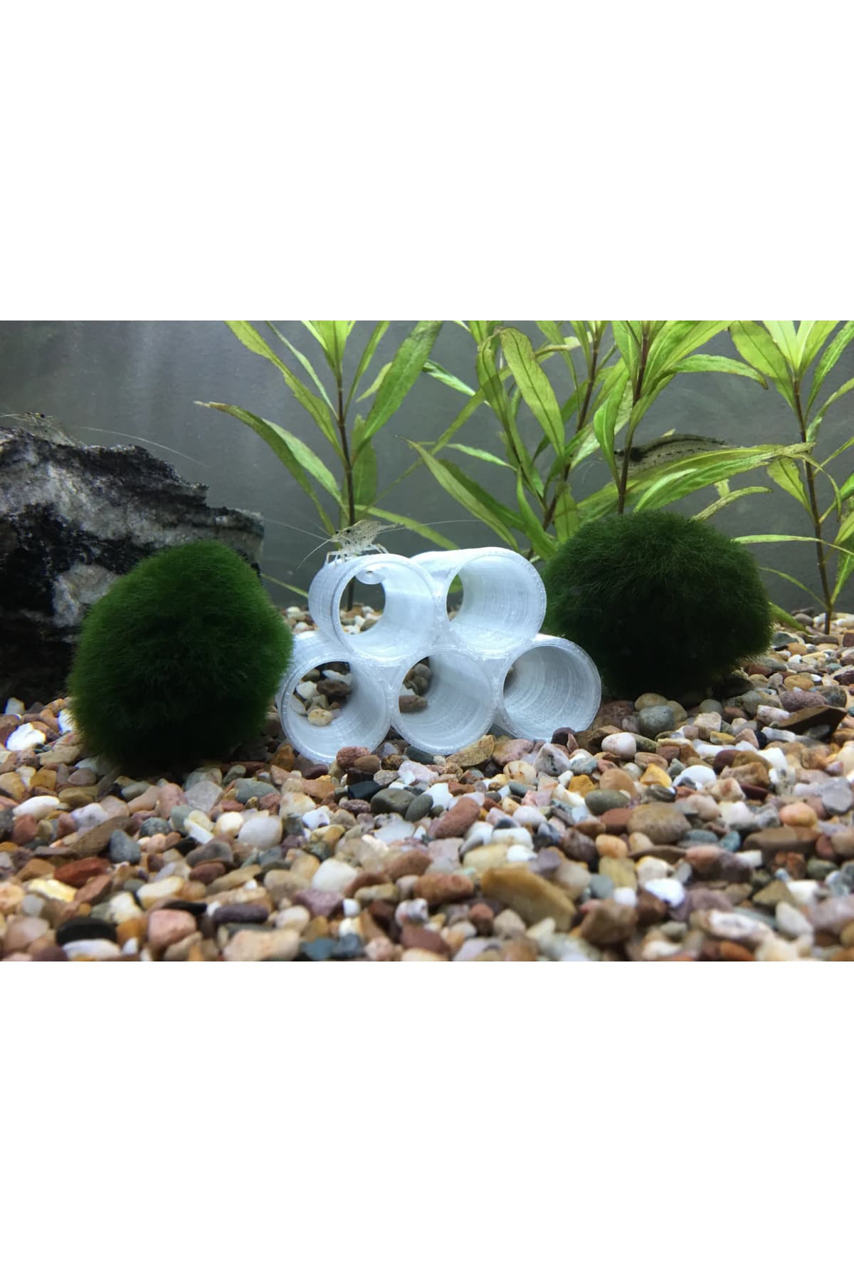 Premium Akvaryum Karides Tüpü - Doğal Saklanma Alanı ve Dekor