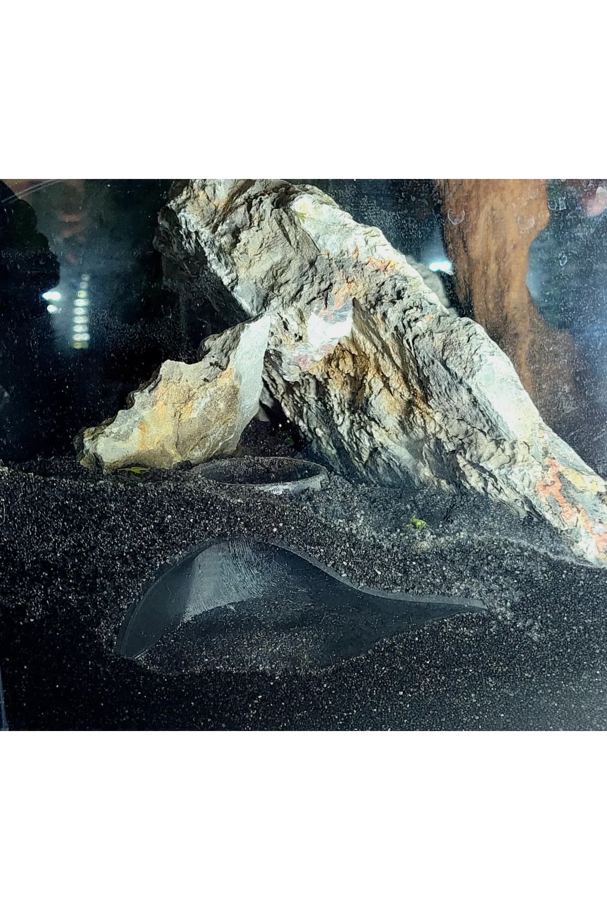 Premium Akvaryum Saklanma Alanı - Dekoratif Dış Görünümlü Balık Evi