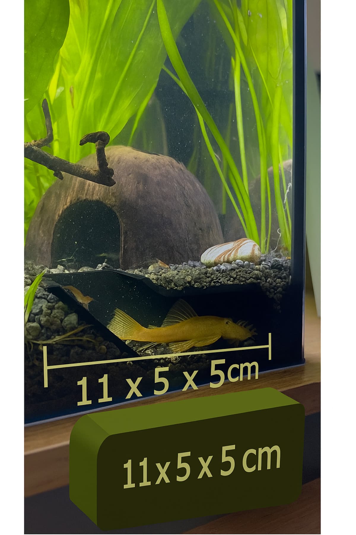 Premium Cam Önü Vatoz Mağarası - Balık Gözlem ve Üreme Yuvası (2 Adet)